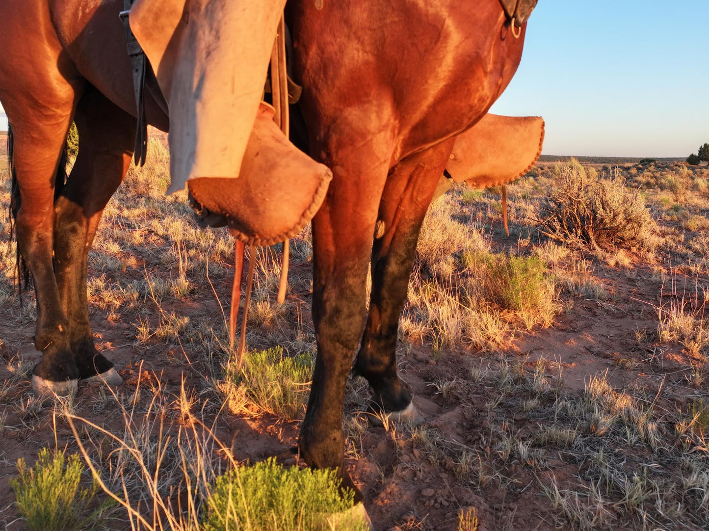 Handmade Leather Tapaderos